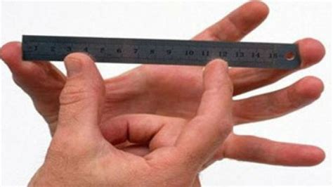 penes de 12 cm|Cuál es el tamaño de un pene normal